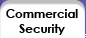 Commercial Security